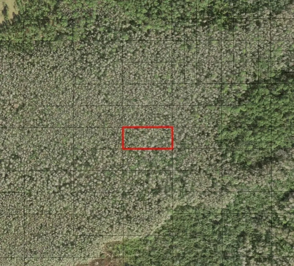 0 Holopaw Groves Road St. Cloud FL 34772