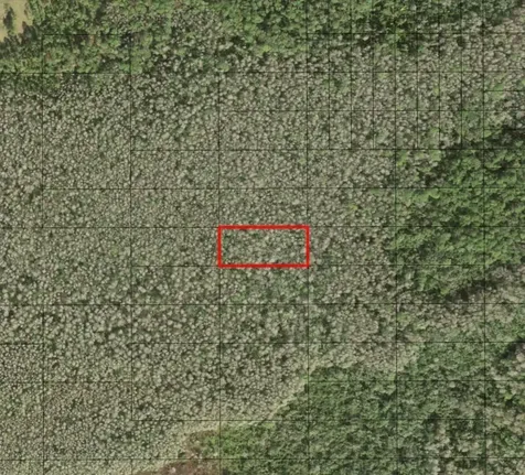 0 Holopaw Groves Road St. Cloud FL 34772
