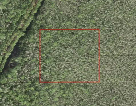 0 Holopaw Groves Road St. Cloud FL 34772