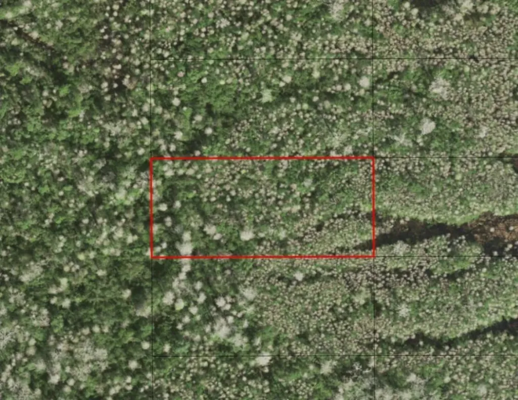 0 Holopaw Groves Road St. Cloud FL 34772