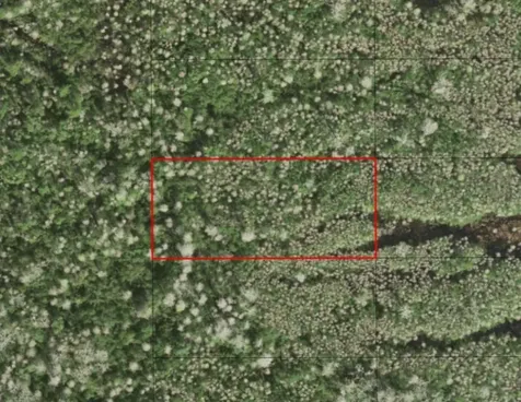 0 Holopaw Groves Road St. Cloud FL 34772