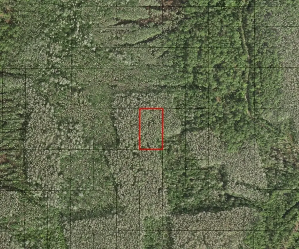 0 Holopaw Groves Road St. Cloud FL 34772