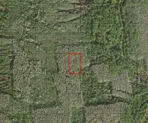0 Holopaw Groves Road St. Cloud FL 34772
