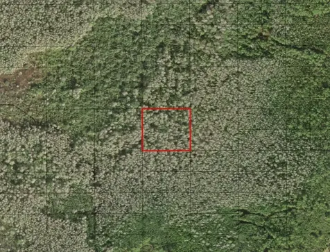 0 Holopaw Groves Road St. Cloud FL 34772