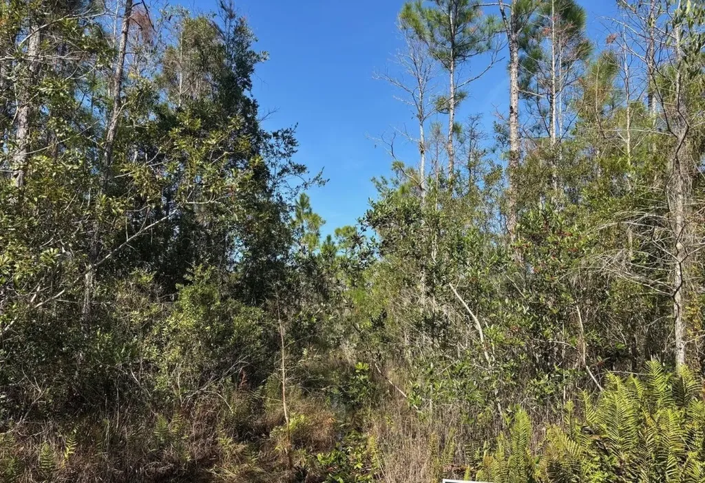0 Holopaw Groves Road St. Cloud FL 34772
