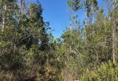 0 Holopaw Groves Road St. Cloud FL 34772