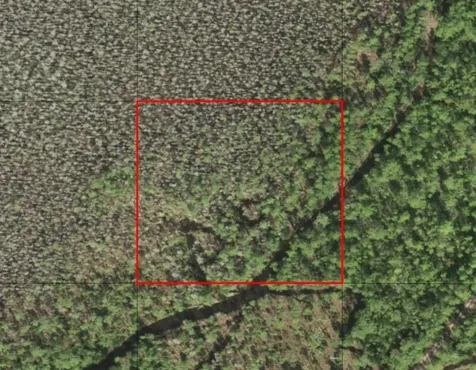 0 Holopaw Groves Road St. Cloud FL 34772