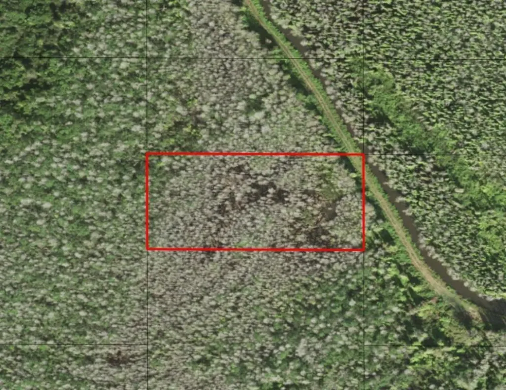 0 Holopaw Groves Road St. Cloud FL 34772