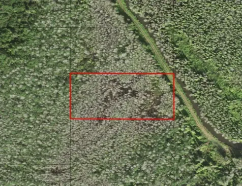 0 Holopaw Groves Road St. Cloud FL 34772