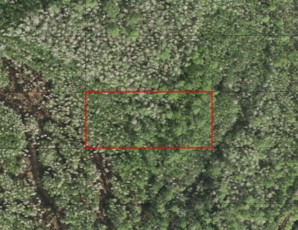 0 Holopaw Groves Road St. Cloud FL 34772