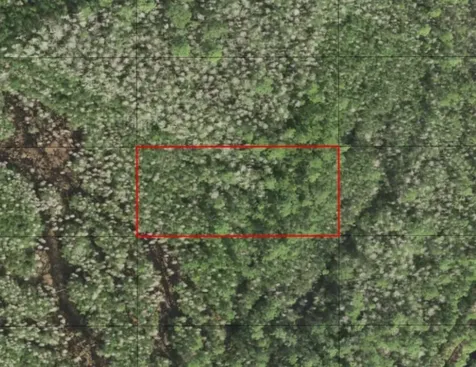 0 Holopaw Groves Road St. Cloud FL 34772