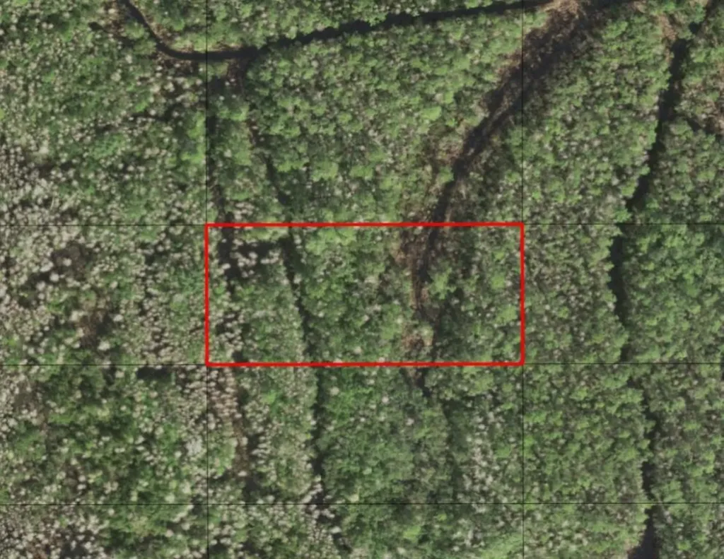 0 Holopaw Groves Road St. Cloud FL 34772