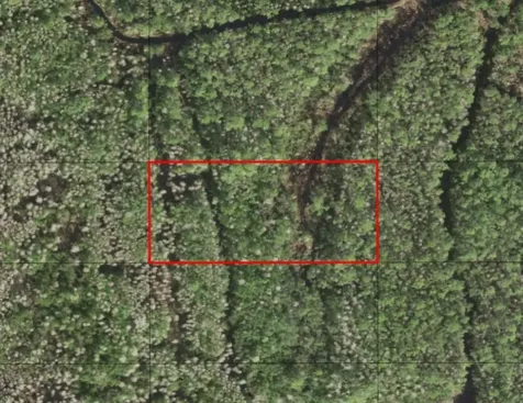 0 Holopaw Groves Road St. Cloud FL 34772