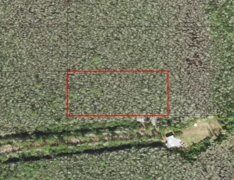 0 Holopaw Groves Road St. Cloud FL 34772