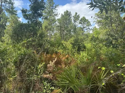 0 Hwy 630e Frostproof FL 33843