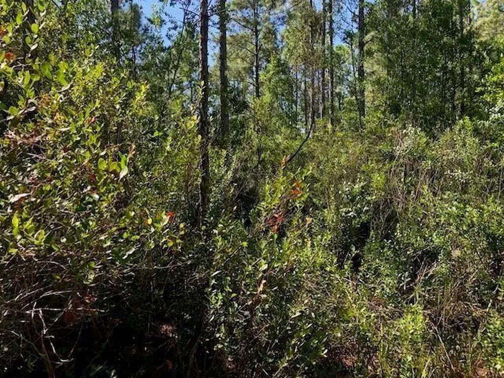 0 Old Grade Road Polk City FL 33868