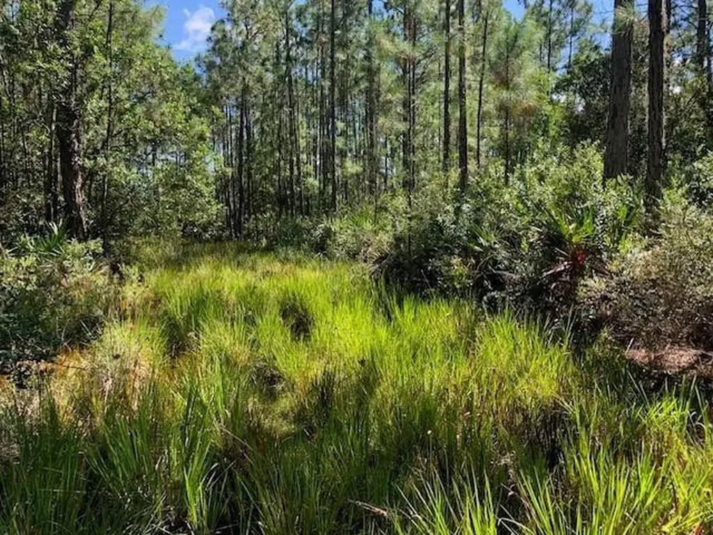 0 Old Grade Road Polk City FL 33868