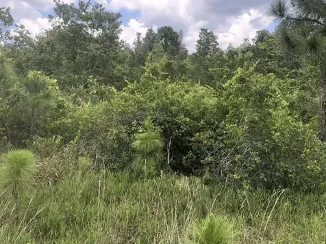 0 Xeriscape Nursery Road Frostproof FL 33843