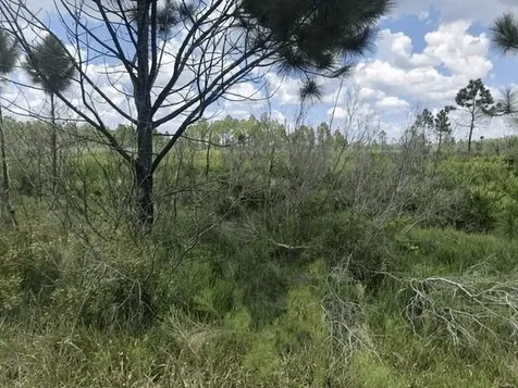 0 Xeriscape Nursery Road Frostproof FL 33843