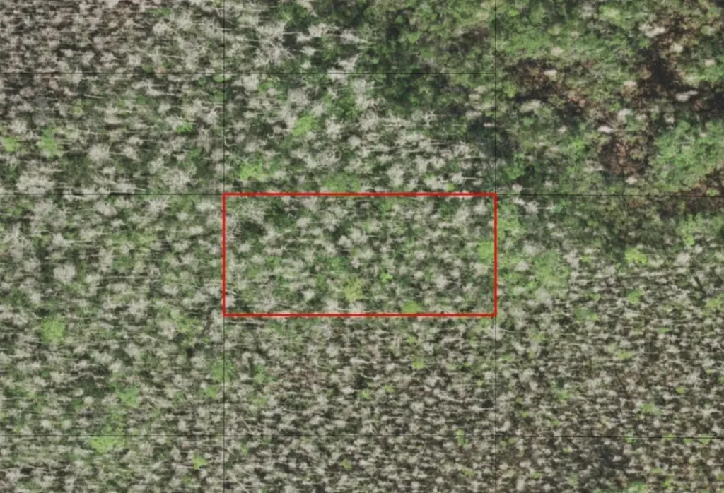 0 Holopaw Groves Road St. Cloud FL 34772