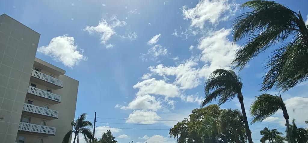 121 SE 3rd Avenue Dania Beach FL 33004