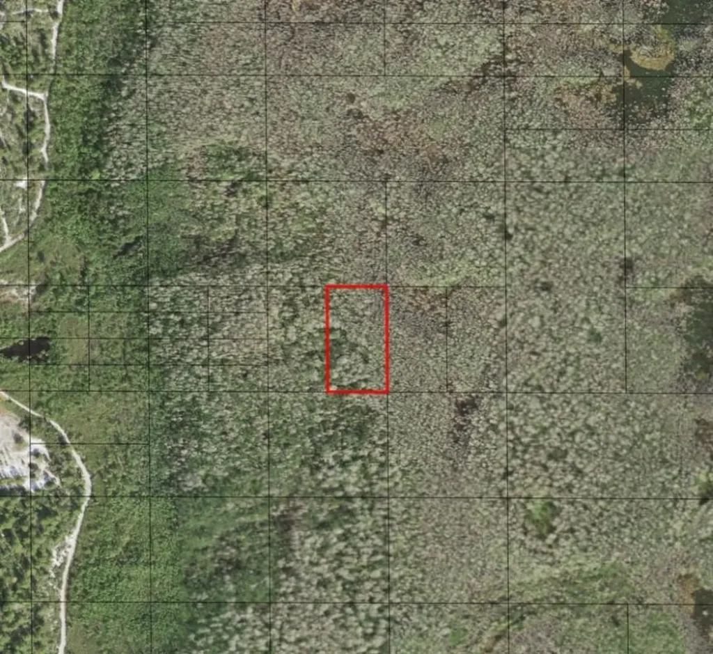 0 Holopaw Groves Road St. Cloud FL 34772