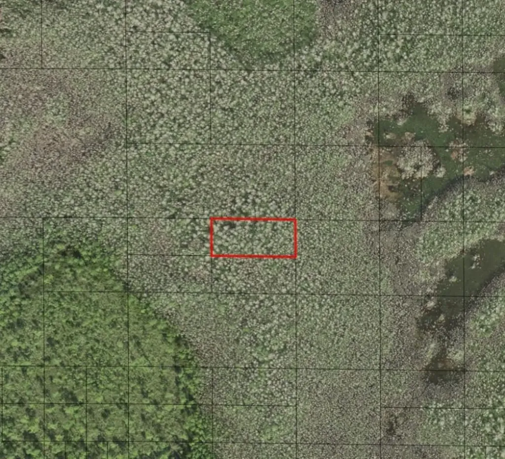 0 Holopaw Groves Road St. Cloud FL 34772