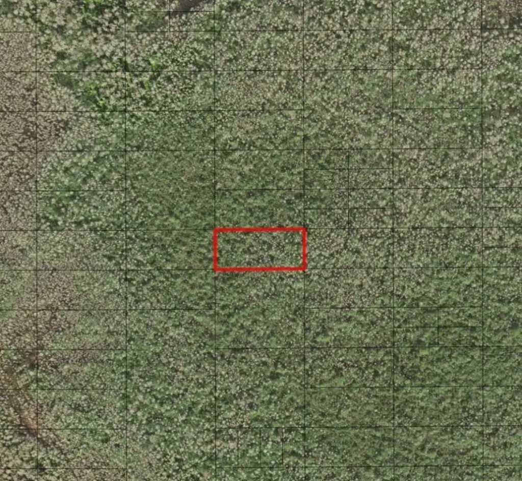 0 Holopaw Groves Road St. Cloud FL 34772