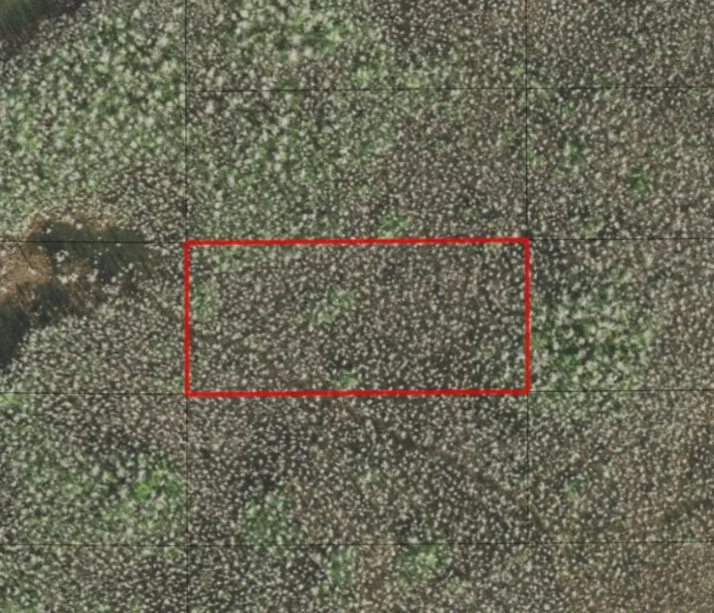 0 Holopaw Groves Road St. Cloud FL 34772