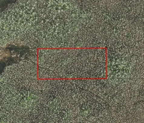 0 Holopaw Groves Road St. Cloud FL 34772