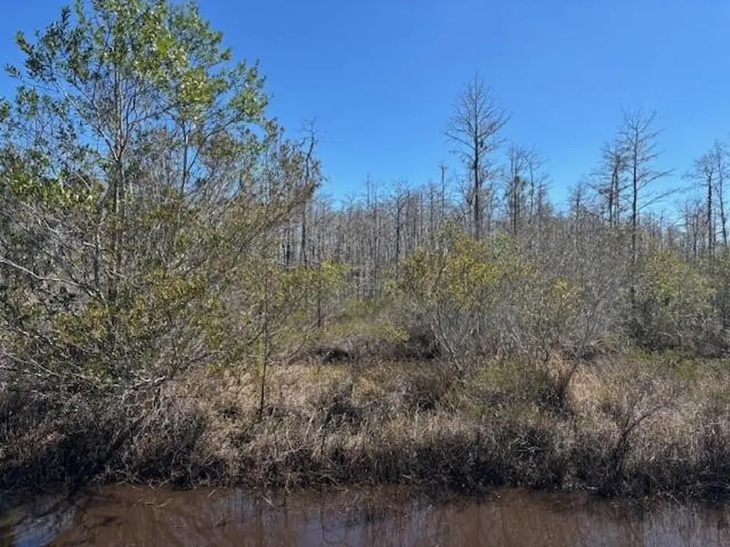 0 Holopaw Groves Road St. Cloud FL 34772