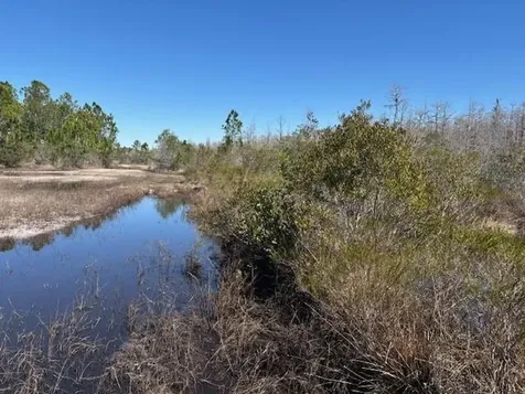 0 Holopaw Groves Road St. Cloud FL 34772