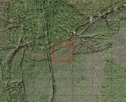 0 Holopaw Groves Road St. Cloud FL 34772