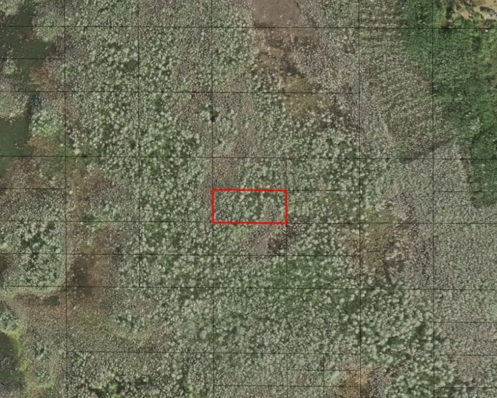 0 Holopaw Groves Road St. Cloud FL 34772