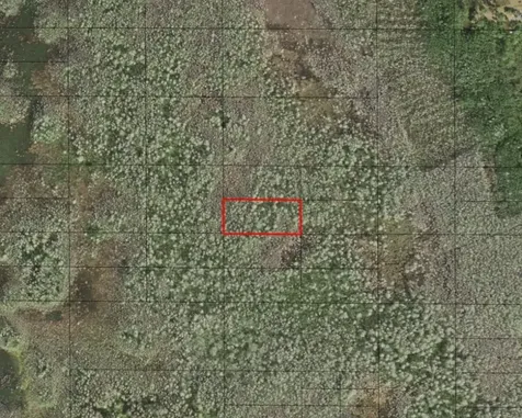 0 Holopaw Groves Road St. Cloud FL 34772