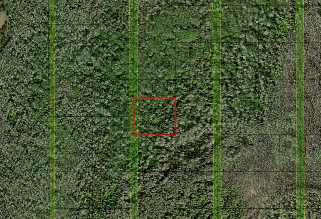 0 Holopaw Groves Road St. Cloud FL 34772