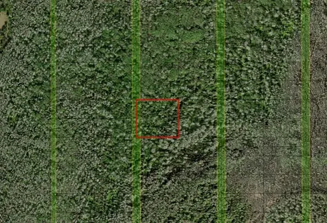 0 Holopaw Groves Road St. Cloud FL 34772