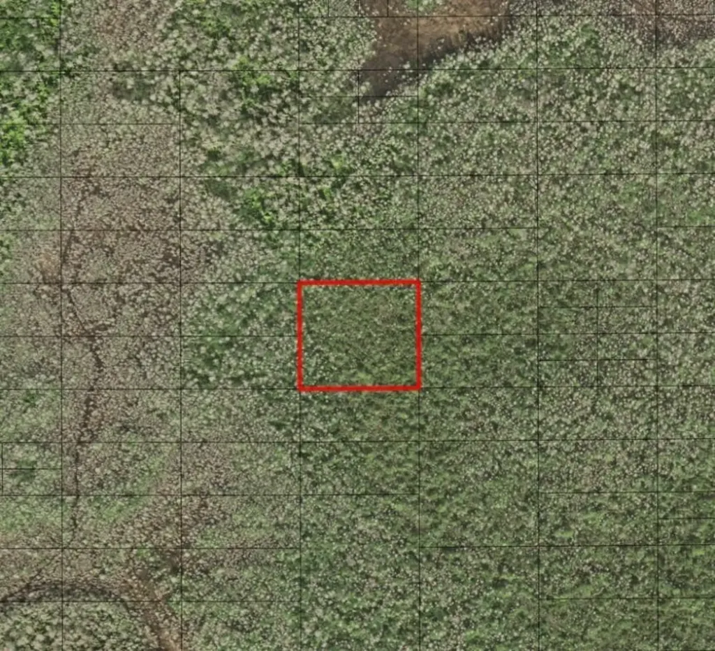 0 Holopaw Groves Road St. Cloud FL 34772