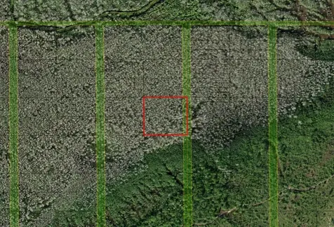 0 Holopaw Groves Road St. Cloud FL 34772