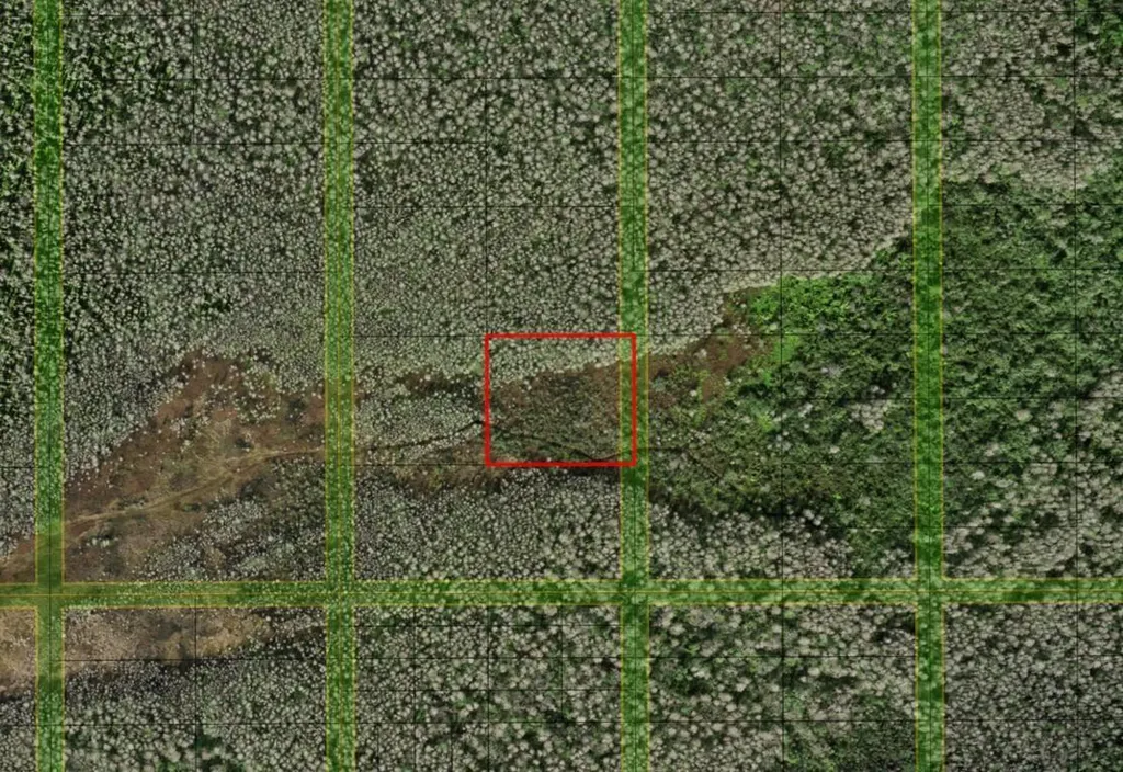 0 Holopaw Groves Road St. Cloud FL 34772