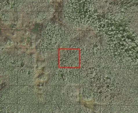 0 Holopaw Groves Road St. Cloud FL 34772