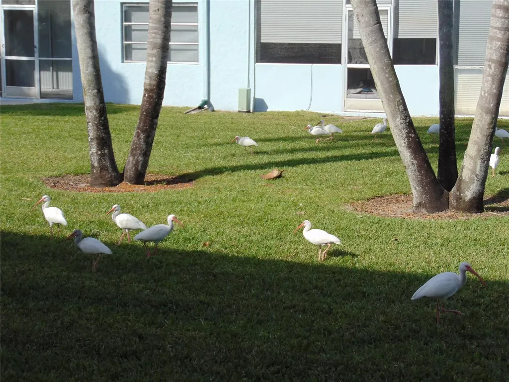 9788 Marina Boulevard Boca Raton FL 33428