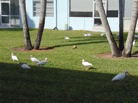 9788 Marina Boulevard Boca Raton FL 33428