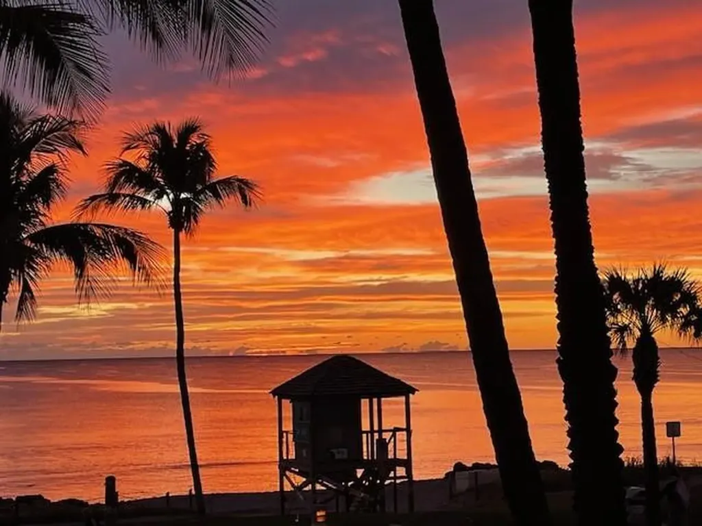2051 SE 3rd Street Deerfield Beach FL 33441
