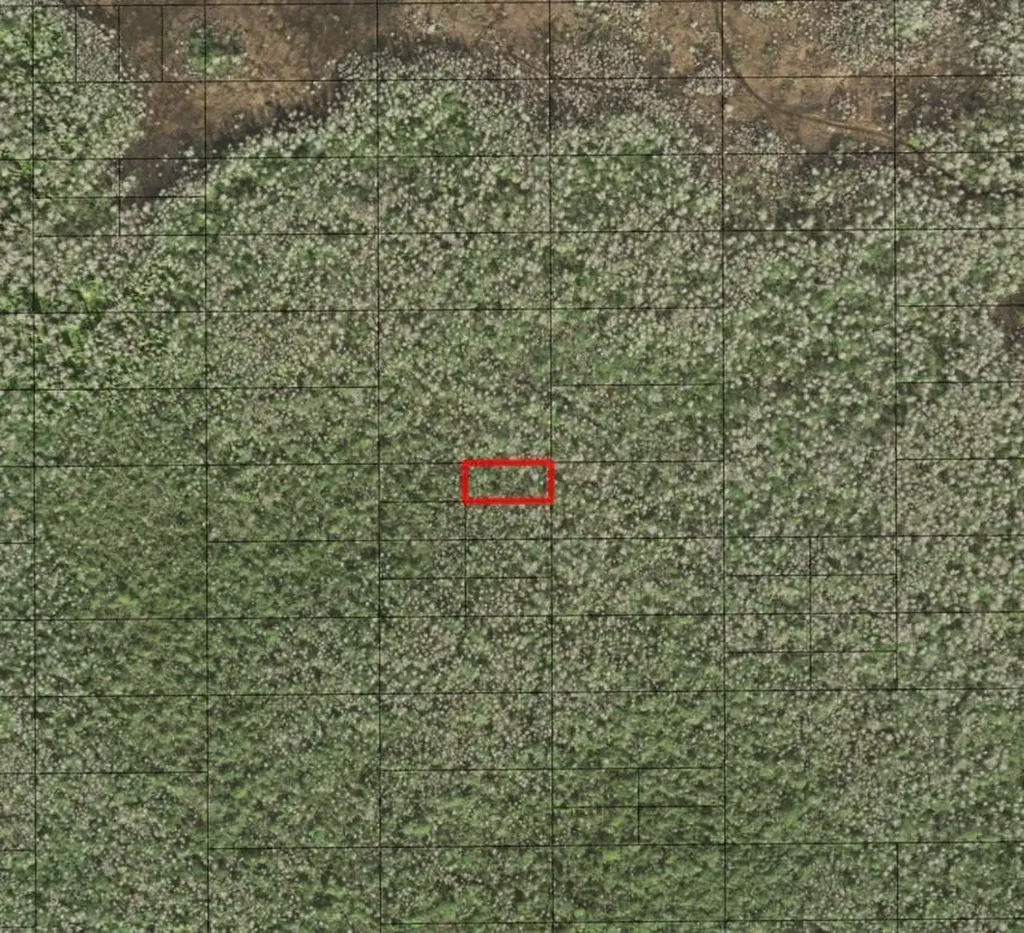 0 Holopaw Groves Road St. Cloud FL 34772