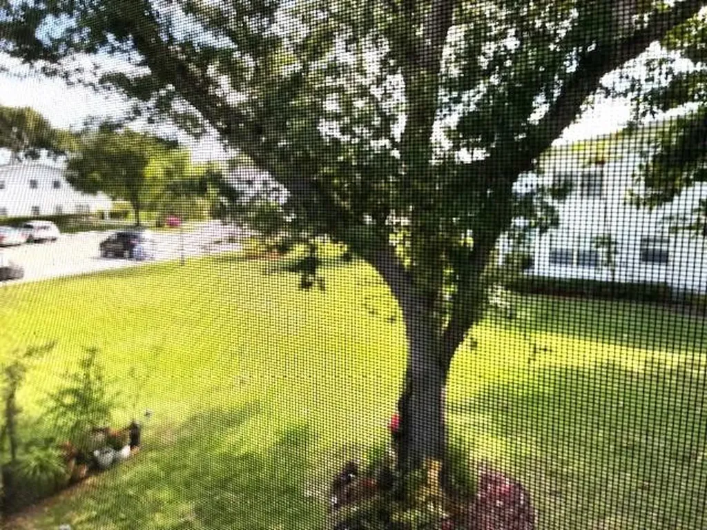 260 Newport P Deerfield Beach FL 33442