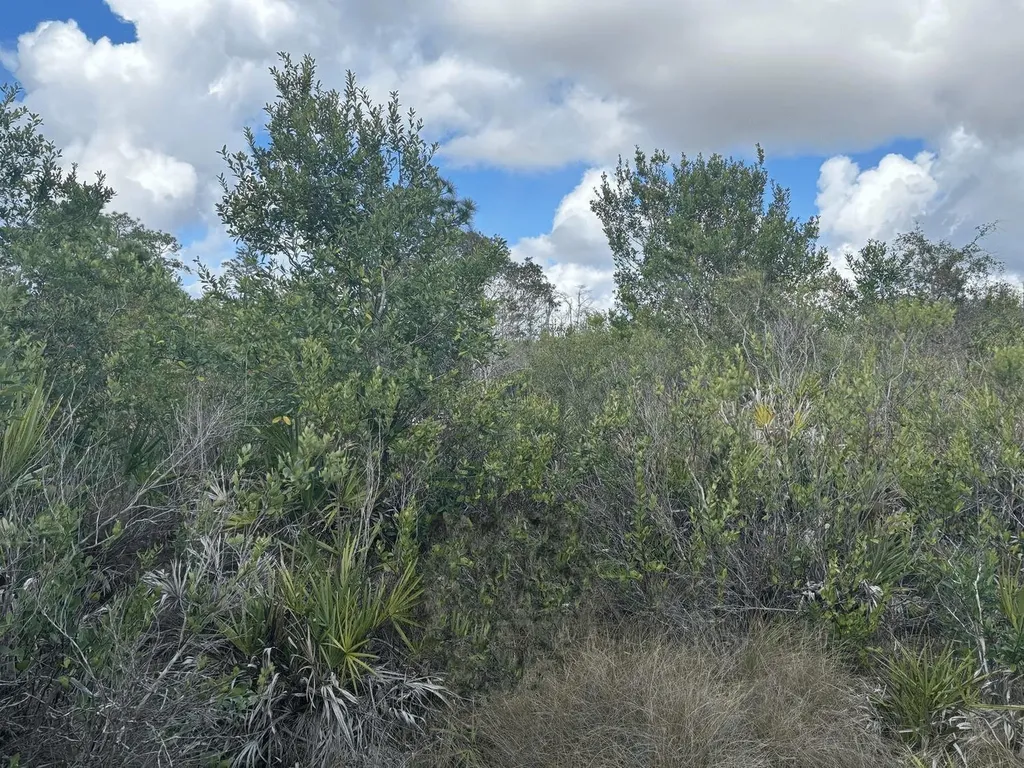 0 Holopaw Groves Road St. Cloud FL 34772