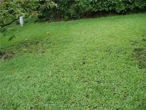 5975 NW 47th Place Coral Springs FL 33067
