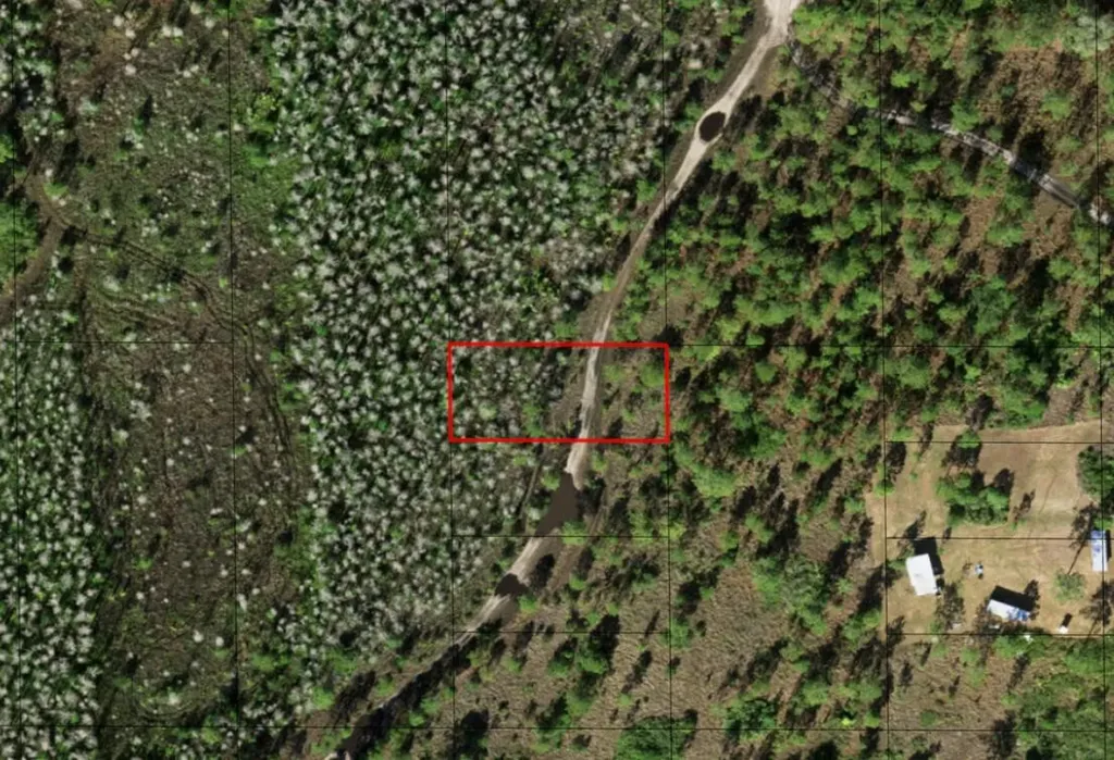 0 Holopaw Groves Road St. Cloud FL 34772