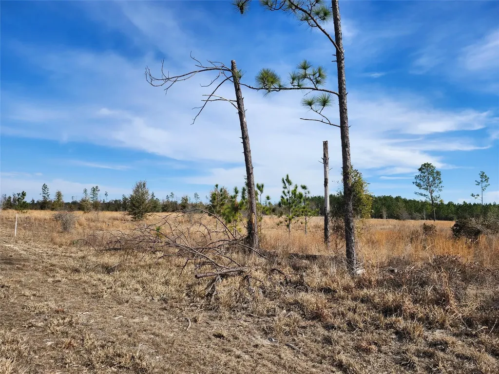 Lot 50 Fl-50 Live Oak FL 32060